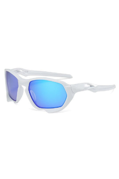 Dust Shield Sunglasses